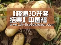 产品展示标题2