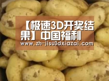 产品展示标题6