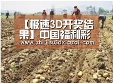 种植基地一