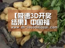 产品展示标题4