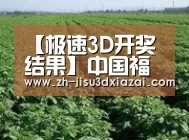 种植基地五(图1)