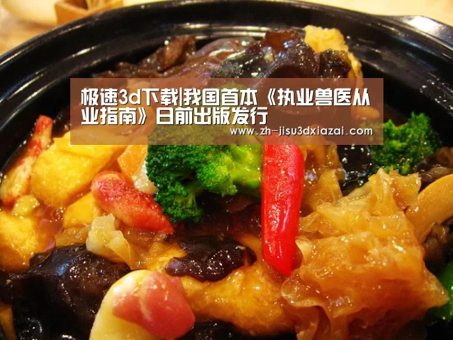 极速3d下载