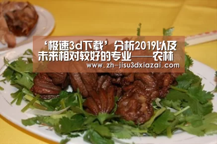 极速3d下载