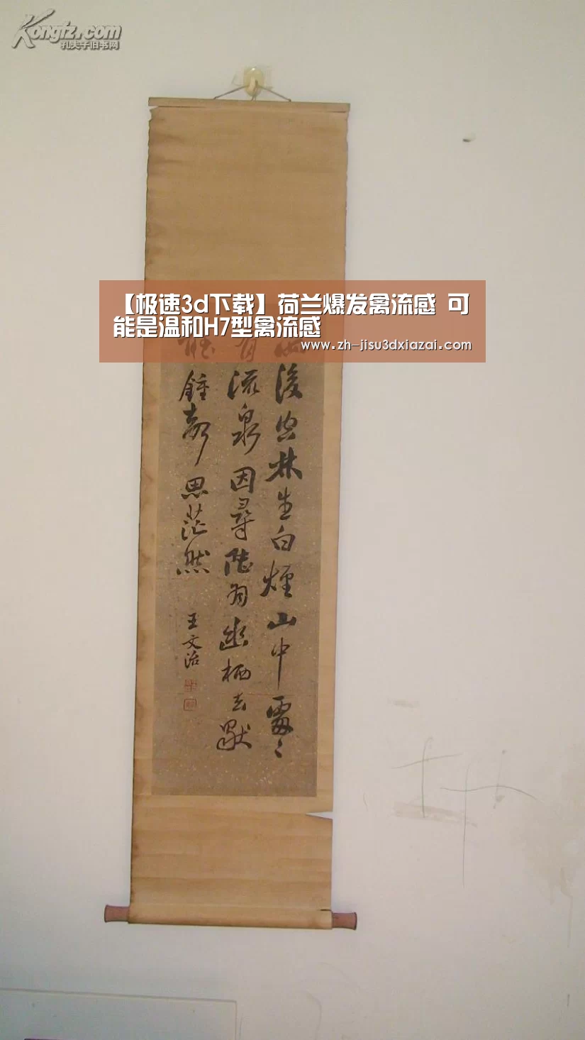 【极速3d下载】荷兰爆发禽流感 可能是温和H7型禽流感(图1) 极速3d下载