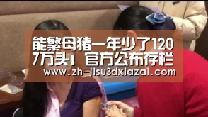能繁母猪一年少了1207万头!官方公布存栏降幅首次超30%:极速3d下载(图1) 极速3d下载