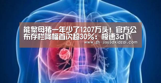 能繁母猪一年少了1207万头!官方公布存栏降幅首次超30%:极速3d下载(图2) 极速3d下载