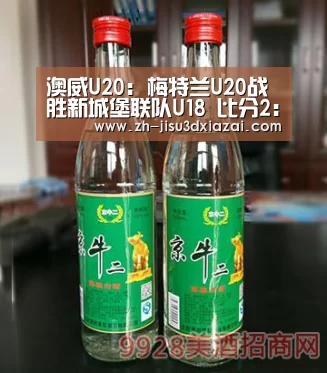 澳威U20: 梅特兰U20战胜新城堡联队U18 比分2:0|极速3d下载(图3) 极速3d下载