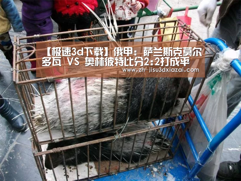 【极速3d下载】俄甲: 萨兰斯克莫尔多瓦 VS 奥林彼特比分2:2打成平局(图2) 极速3d下载