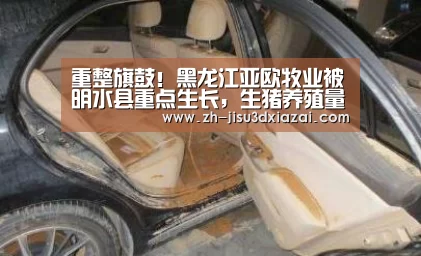 极速3d下载