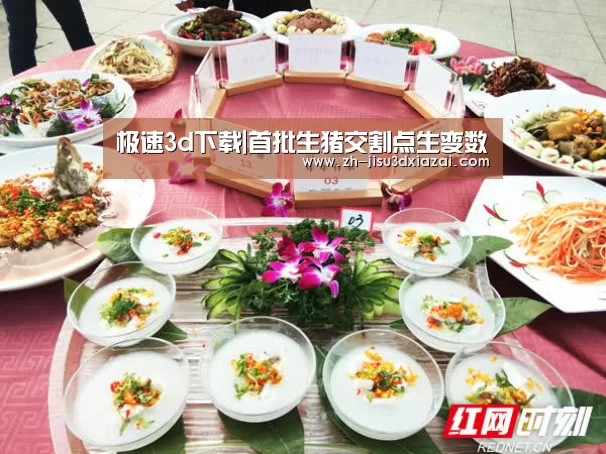 极速3d下载